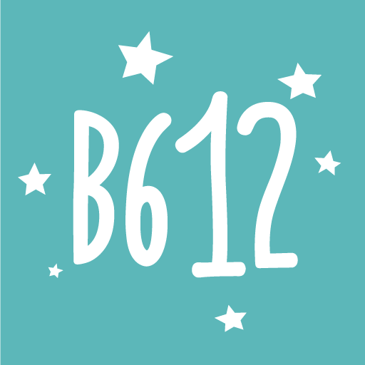 b6 12 camera video