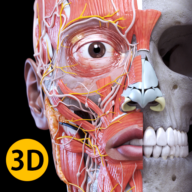 Anatomy 3D Atlas v4.3.0 [Mod]